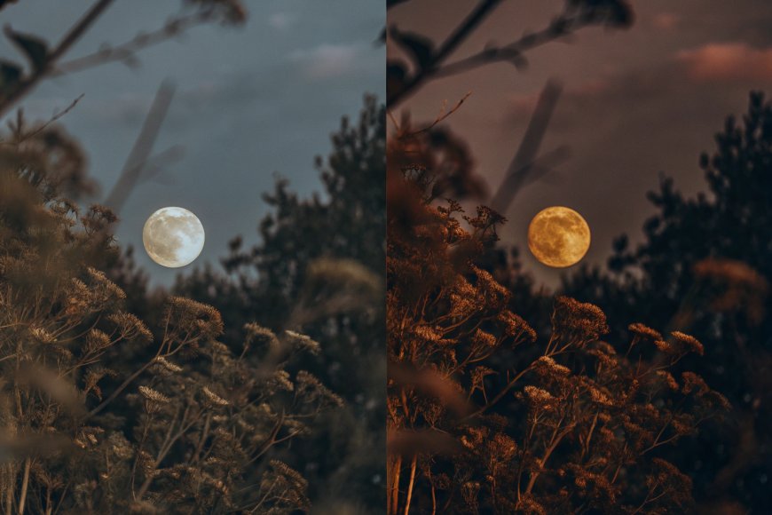 Full Flower Moon 2025: How & Where to Spot May’s Celestial Bloom in the DC Area (and Worldwide!)