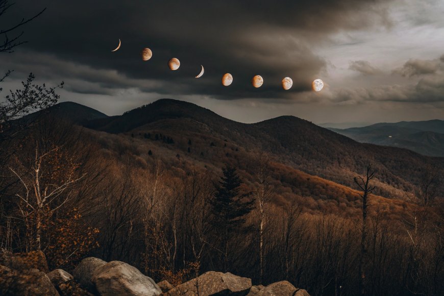 Full Flower Moon 2025: How & Where to Spot May’s Celestial Bloom in the DC Area (and Worldwide!)